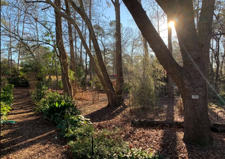 W. Gordon Belser Arboretum, United States